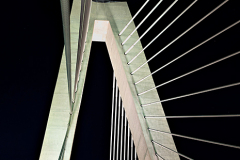 D4P2617-tower-tc-250