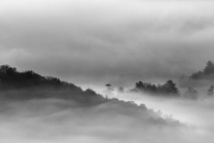 Fog Island