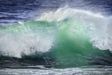 Asilomar Beach, Monterey, CA