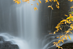 20130928-_D4P5820-tc-250