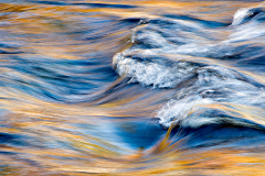 D4P7110-Edit-blue-and-gold-copy