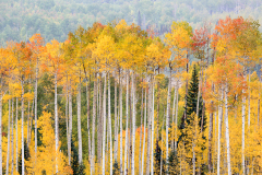 PCL1235-Edit-Owl-Creek-Bathroom-view-2