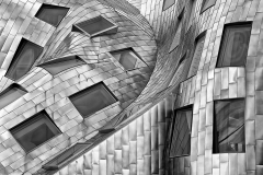 D4P6637-crop-tc-250-bw-copy-2014
