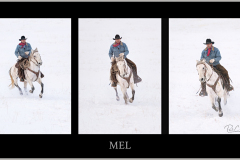 Mel_Riding_Triptych_2_sign