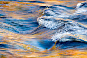 Intimate Landscapes