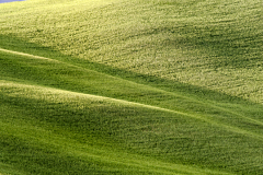 3PL4152-lone-tree-TC-250-straight-small