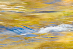 D4P5921-Yellow-copy