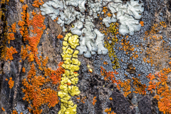 PCL4216-Edit-Edit