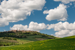 Landscapes